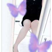 ヒメ日記 2025/04/28 14:58 投稿 かすみ 恋のうた