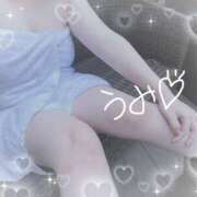 ヒメ日記 2024/12/17 09:35 投稿 うみ 栃木宇都宮ちゃんこ