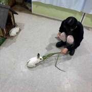 ヒメ日記 2025/10/25 19:45 投稿 かぐら 神田はっち