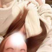 ヒメ日記 2025/04/11 13:22 投稿 れむ★永遠に輝く綺麗系美女 BEPPIN SELECTION 京都 ～べっぴんセレクション～