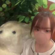 ヒメ日記 2025/04/13 19:34 投稿 れむ★永遠に輝く綺麗系美女 BEPPIN SELECTION 京都 ～べっぴんセレクション～