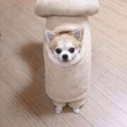 ヒメ日記 2026/01/20 04:41 投稿 れむ★永遠に輝く綺麗系美女 BEPPIN SELECTION 京都 ～べっぴんセレクション～