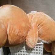 ヒメ日記 2026/02/15 02:57 投稿 れむ★永遠に輝く綺麗系美女 BEPPIN SELECTION 京都 ～べっぴんセレクション～