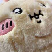 ヒメ日記 2026/02/27 01:12 投稿 れむ★永遠に輝く綺麗系美女 BEPPIN SELECTION 京都 ～べっぴんセレクション～