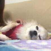 ヒメ日記 2026/03/15 12:29 投稿 れむ★永遠に輝く綺麗系美女 BEPPIN SELECTION 京都 ～べっぴんセレクション～