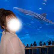 ヒメ日記 2026/06/06 20:14 投稿 れむ★永遠に輝く綺麗系美女 BEPPIN SELECTION 京都 ～べっぴんセレクション～
