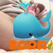 ヒメ日記 2024/12/19 23:19 投稿 西野そら ウルトラハピネス