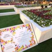 ヒメ日記 2025/03/26 20:28 投稿 弥生(やよい) エッチな熟女(広島)