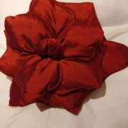 ヒメ日記 2025/04/26 22:11 投稿 弥生(やよい) エッチな熟女(広島)