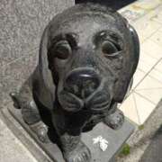 ヒメ日記 2025/04/29 13:28 投稿 弥生(やよい) エッチな熟女(広島)