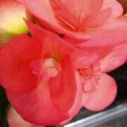 ヒメ日記 2025/05/02 09:08 投稿 弥生(やよい) エッチな熟女(広島)