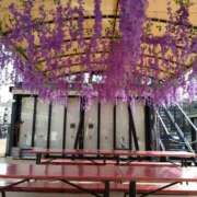 ヒメ日記 2025/05/18 09:30 投稿 弥生(やよい) エッチな熟女(広島)