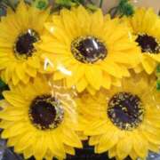 ヒメ日記 2025/06/12 09:47 投稿 弥生(やよい) エッチな熟女(広島)