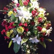 ヒメ日記 2025/06/15 12:30 投稿 弥生(やよい) エッチな熟女(広島)