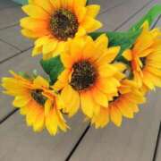 ヒメ日記 2025/07/06 10:30 投稿 弥生(やよい) エッチな熟女(広島)