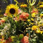 ヒメ日記 2025/08/10 09:20 投稿 弥生(やよい) エッチな熟女(広島)