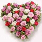 ヒメ日記 2025/08/11 10:36 投稿 弥生(やよい) エッチな熟女(広島)