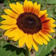 ヒメ日記 2025/11/14 17:03 投稿 弥生(やよい) エッチな熟女(広島)