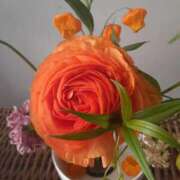 ヒメ日記 2025/11/16 21:20 投稿 弥生(やよい) エッチな熟女(広島)