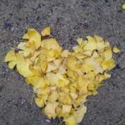 ヒメ日記 2025/11/22 09:30 投稿 弥生(やよい) エッチな熟女(広島)