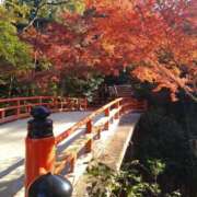 ヒメ日記 2025/11/22 14:02 投稿 弥生(やよい) エッチな熟女(広島)