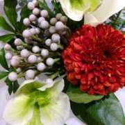 ヒメ日記 2025/11/22 21:50 投稿 弥生(やよい) エッチな熟女(広島)