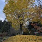 ヒメ日記 2025/11/29 10:30 投稿 弥生(やよい) エッチな熟女(広島)