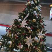 弥生(やよい) こんばんは♪ エッチな熟女(広島)