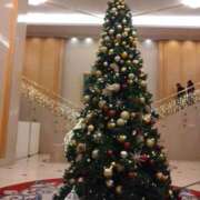 ヒメ日記 2025/12/19 23:12 投稿 弥生(やよい) エッチな熟女(広島)