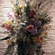 ヒメ日記 2026/01/15 23:15 投稿 弥生(やよい) エッチな熟女(広島)