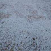 ヒメ日記 2026/01/25 10:39 投稿 弥生(やよい) エッチな熟女(広島)