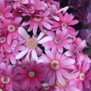 ヒメ日記 2026/03/04 16:28 投稿 弥生(やよい) エッチな熟女(広島)