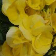 ヒメ日記 2026/03/05 16:30 投稿 弥生(やよい) エッチな熟女(広島)