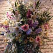 ヒメ日記 2026/03/15 15:00 投稿 弥生(やよい) エッチな熟女(広島)