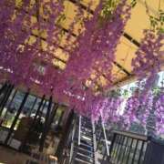 ヒメ日記 2026/05/15 11:20 投稿 弥生(やよい) エッチな熟女(広島)