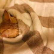 ヒメ日記 2025/08/05 15:04 投稿 あかり 上野回春性感マッサージ倶楽部