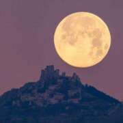 ヒメ日記 2025/01/14 23:52 投稿 まゆみ ファーストレディ(博多)