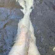 ヒメ日記 2025/01/20 13:06 投稿 まゆみ ファーストレディ(博多)