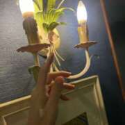 ヒメ日記 2025/02/24 14:45 投稿 まゆみ ファーストレディ(博多)