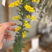 ヒメ日記 2025/03/06 18:31 投稿 まゆみ ファーストレディ(博多)