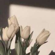 ヒメ日記 2025/03/17 00:27 投稿 まゆみ ファーストレディ(博多)