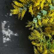 ヒメ日記 2025/03/28 13:02 投稿 まゆみ ファーストレディ(博多)