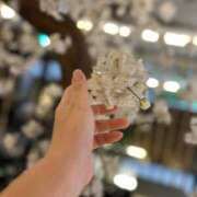 ヒメ日記 2025/03/29 13:30 投稿 まゆみ ファーストレディ(博多)