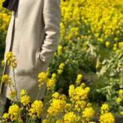 ヒメ日記 2025/04/01 08:30 投稿 まゆみ ファーストレディ(博多)