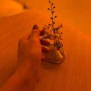 ヒメ日記 2025/04/01 17:45 投稿 まゆみ ファーストレディ(博多)