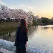 ヒメ日記 2025/04/02 10:12 投稿 まゆみ ファーストレディ(博多)