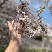 ヒメ日記 2025/04/06 15:53 投稿 まゆみ ファーストレディ(博多)