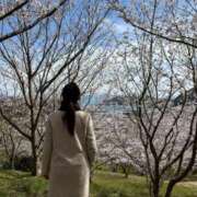 ヒメ日記 2025/04/08 08:10 投稿 まゆみ ファーストレディ(博多)