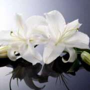 ヒメ日記 2025/04/14 11:15 投稿 まゆみ ファーストレディ(博多)