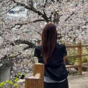 ヒメ日記 2025/04/23 10:02 投稿 まゆみ ファーストレディ(博多)